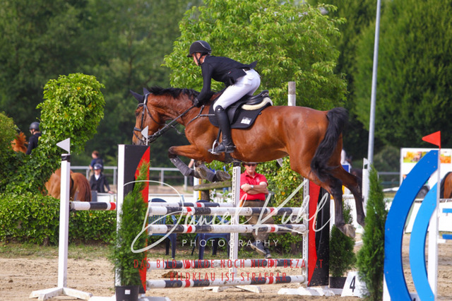 DKP42172 | Turniersportfotografie; Pferdefotografie; Dressurfotografie