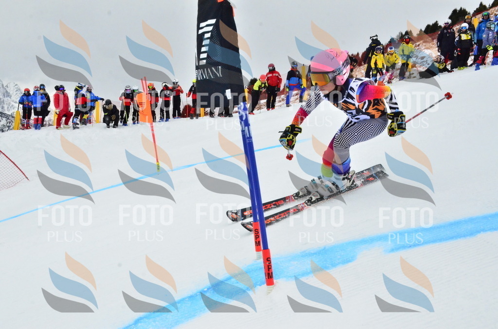 _ELE3289 | holidayphoto