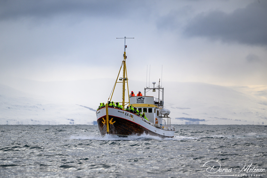 Árskógssandur | Árskógssandur auf Island