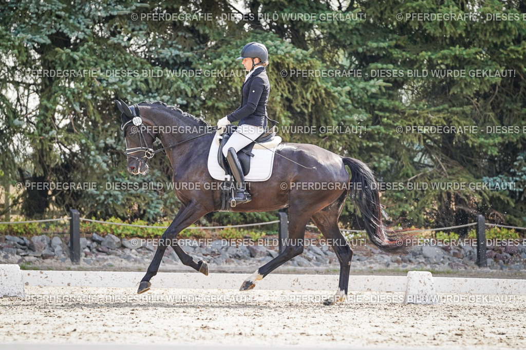 DSC06546 | Pferdegrafie