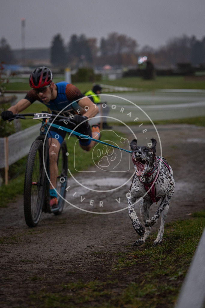 CaniXpix_0L8A0316 | Hundefotografie, Tierfotograf, Pfotenfotografie, Fotoshooting Hund, Hunde Portrait, Hundesport, Hundeportraits, Heideshooting, Hunde, Sportfotograf, Hundefotograf, Turnierhundsport, THS,  - Realisiert mit Pictrs.com