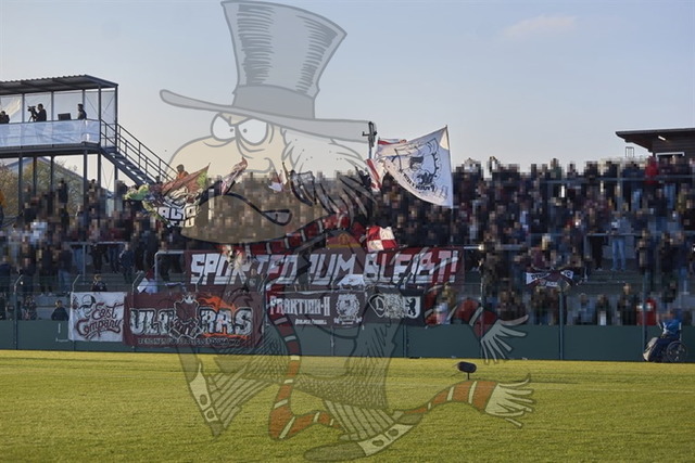 BFC Dynamo vs. FC Energie Cottbus  164 | mythos-online-redaktion