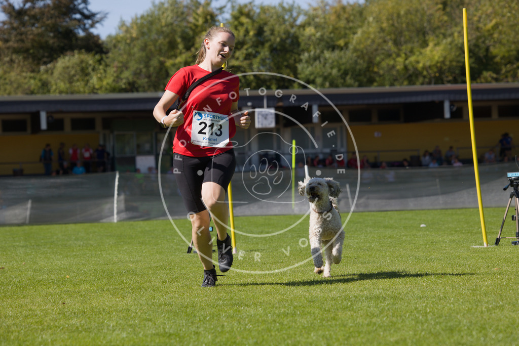 0L8A5884 | Hundefotografie, Tierfotograf, Pfotenfotografie, Fotoshooting Hund, Hunde Portrait, Hundesport, Hundeportraits, Heideshooting, Hunde, Sportfotograf, Hundefotograf, Turnierhundsport, THS,  - Realisiert mit Pictrs.com