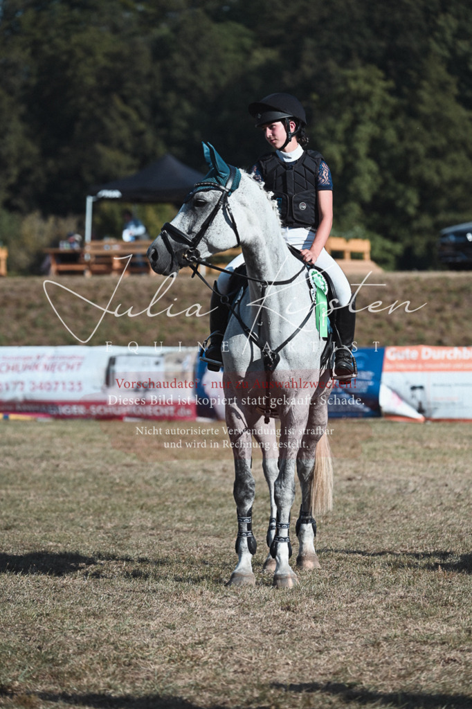 DSC_8868 | Pferde- und Turnierfotografie in Westsachsen. Pferdeportraits, Auftragszeichnungen und intuitive Kunst.