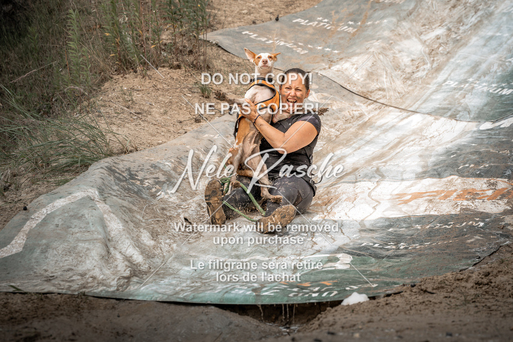 nelerasche_sa1600-1700_506 | nelerasche