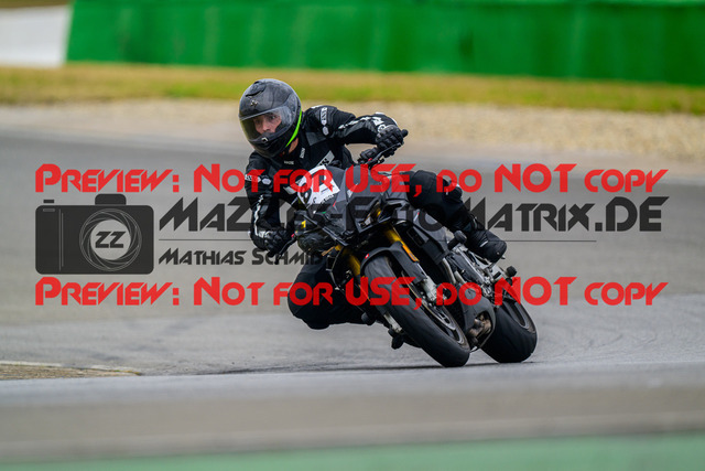 MaZZes_Fotomatrix_20240923_6007705_7004 | GELB