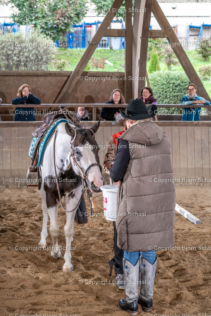 LMB06396 | BS-foto