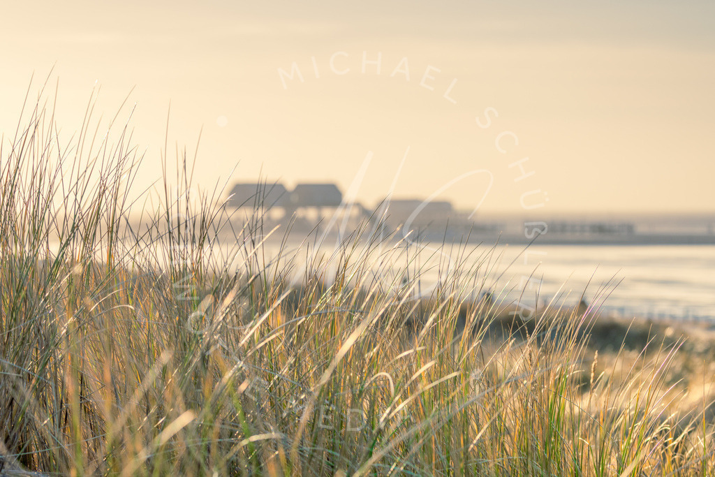 2024-01-27 SPO Duenen u Strand 014 v1 | Schwotte Media - Realisiert mit Pictrs.com