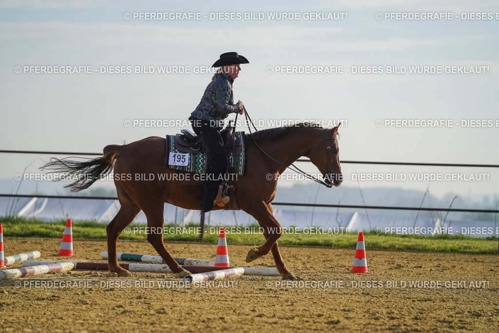 DSC00576 | Pferdegrafie