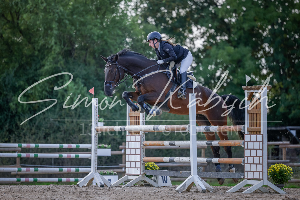20251012-_3LI5641 | Tierfotografie Pferde, Hunde, Katzen, Haustiere.
Turnierfotografie Reitturniere, Reiten, Springreiten, Dressur in Hanau, dem Main-Kinzig-Kreis und dem Rhein-Main- Gebiet um Frankfurt