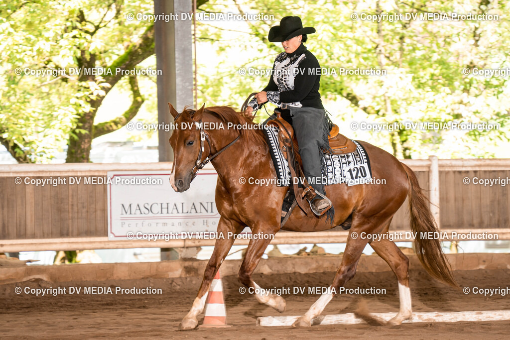 Erbach Tag 1-616 | dv-media-shop - Realisiert mit Pictrs.com