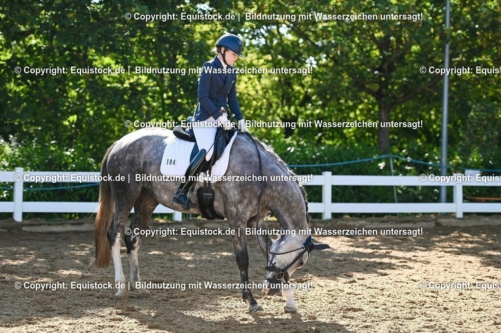 20230715_06_Dressurpferdeprfg. Kl.A_0323 | equistock