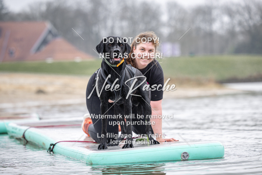 nelerasche_Hulsbeek_Sa1100-1130_320 | nelerasche