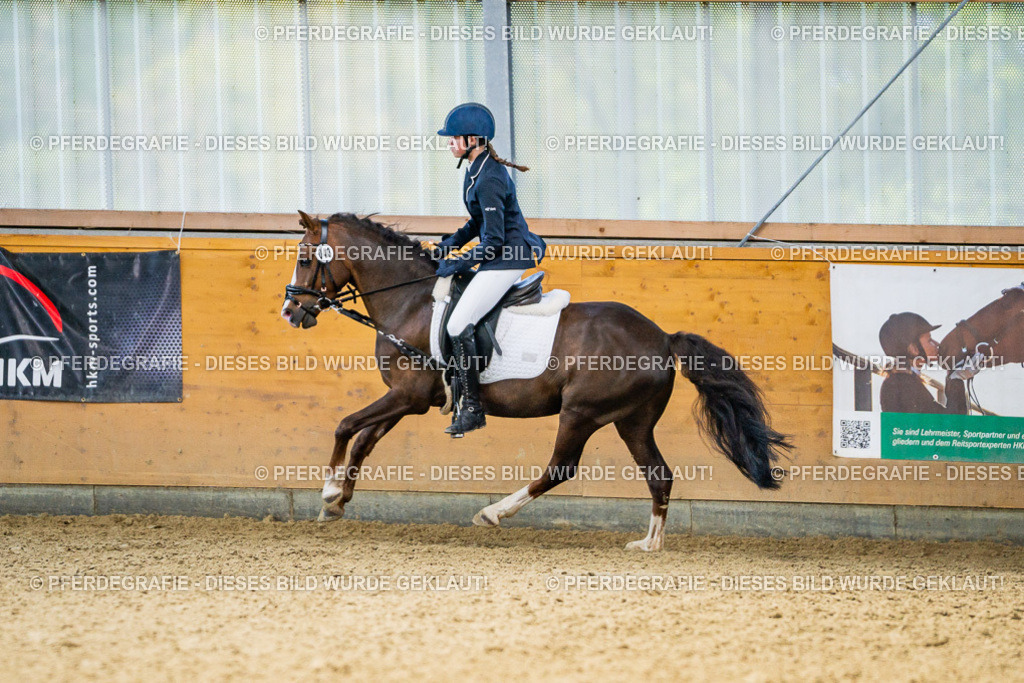 DSC03732 | Pferdegrafie