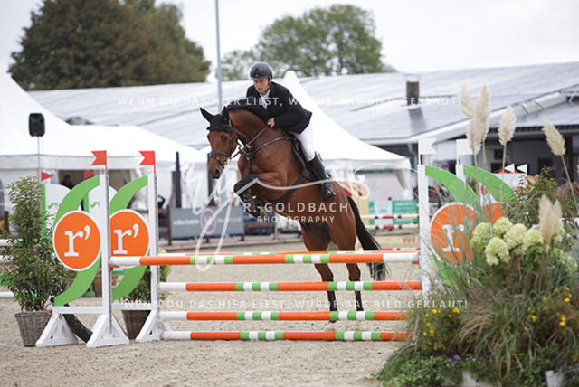 1J2A9795 | Foto- und Videografie für alles rund ums Pferd. Hochwertige Bilder und Videos vom Spring- und Dressurreiten, Voltigieren & mehr. Jetzt aktuelle Veranstaltungen und Preise im Shop ansehen. - Realisiert mit Pictrs.com