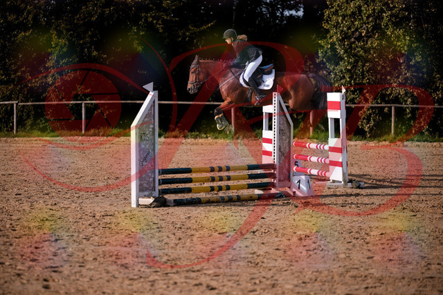 2026_10_03_Siefer-Hof_161049_Z81_90523118 | Professionelle Reitsport-, Turnier- und Eventfotografie von Robert Broda. Galerien mit ausgewählten und bearbeiteten Bildern direkt online ansehen und bestellen.