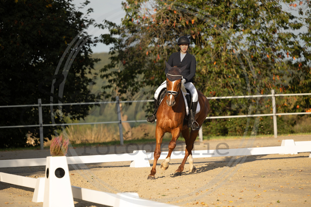 994A0272 | sabrinanicolaifotografie - Realisiert mit Pictrs.com