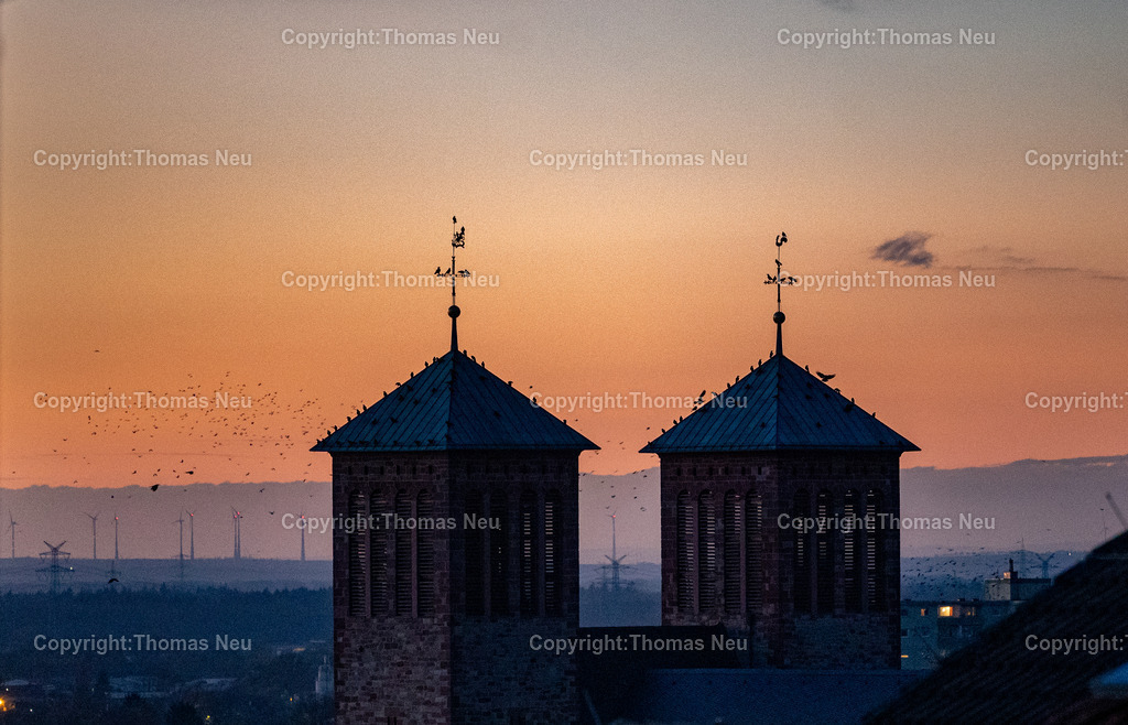Abendrot_Bensheim-7 | bensheim, wunderbares Abendrot mit Blick auf die Türme der Pfarrkirche Sankt Georg, auf den Türmem versammeln sich die Krähen, ,, Bild: Thomas Neu