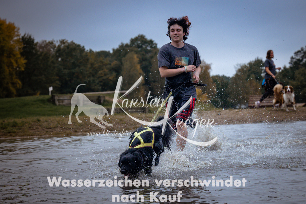 1228_ZZ99943 | kk-dogfotos