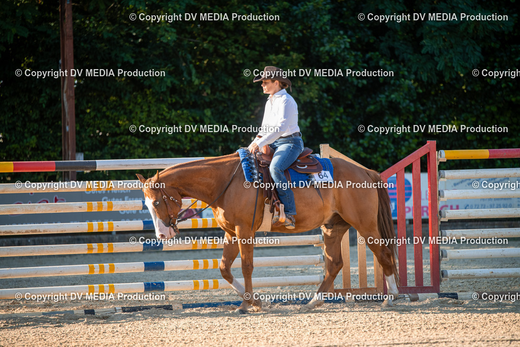 EWP_7158 | dv-media-shop - Realisiert mit Pictrs.com