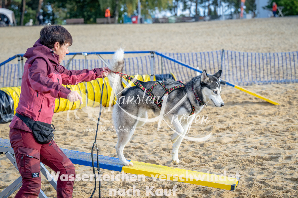 0953_ZZ93035 | kk-dogfotos