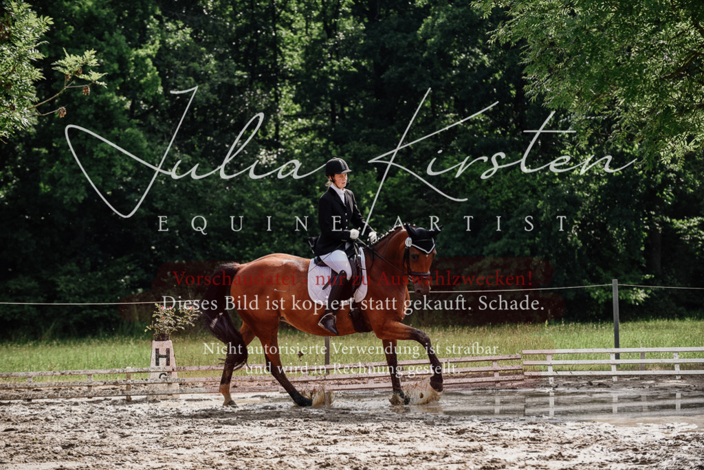 DSC_9796 | Pferde- und Turnierfotografie in Westsachsen. Pferdeportraits, Auftragszeichnungen und intuitive Kunst.