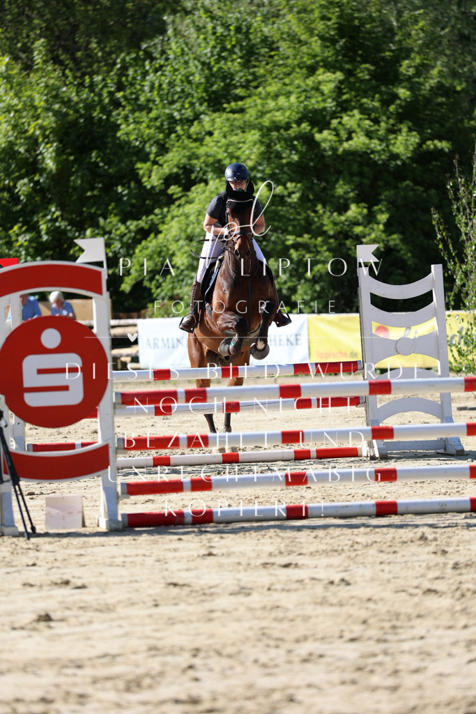 IMGS5433 | pl-fotografie