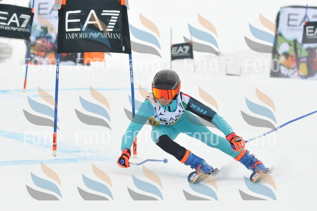 DSC_8413 | holidayphoto