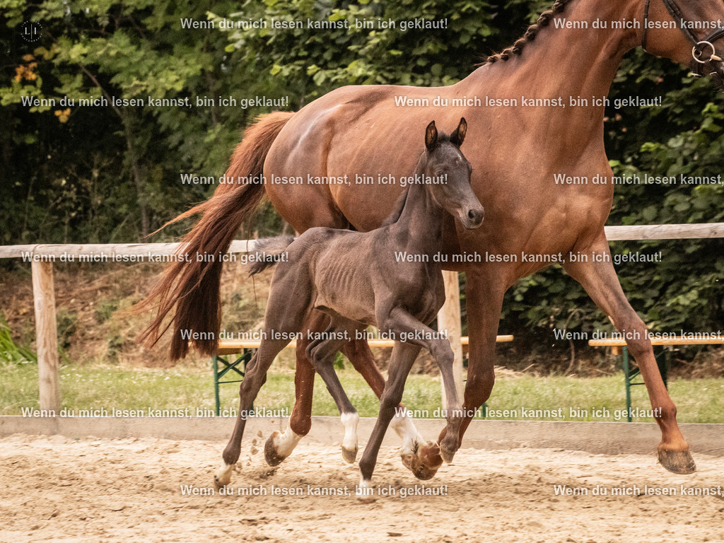 A10I5064 | photographylinaismer - Realisiert mit Pictrs.com