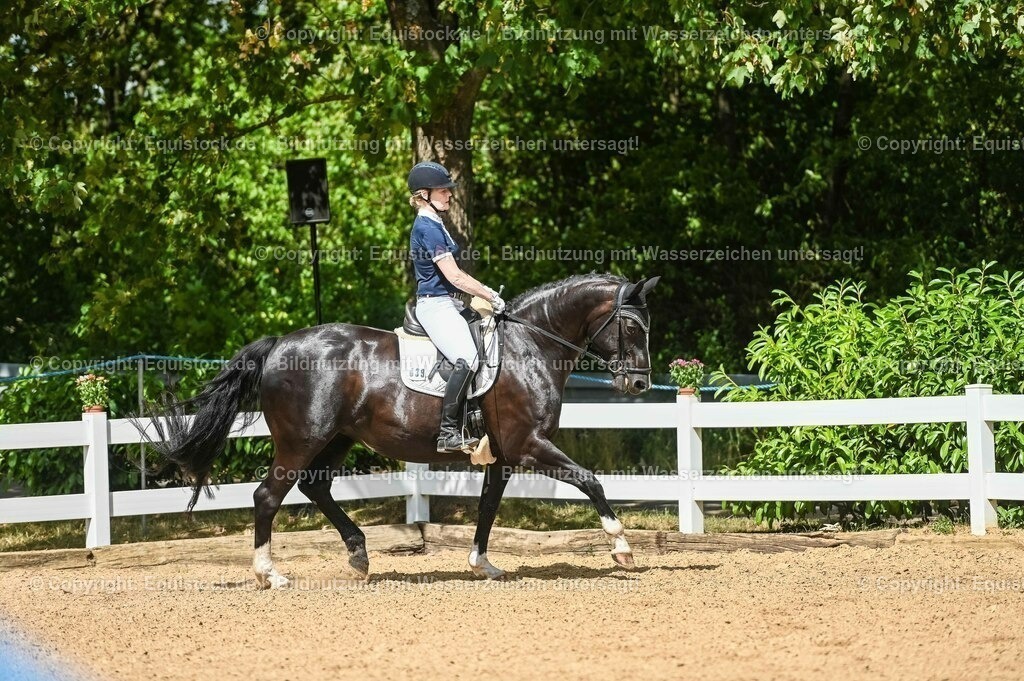 20230715_02_Dressurreiterprüfung Kl.L_0348 | equistock
