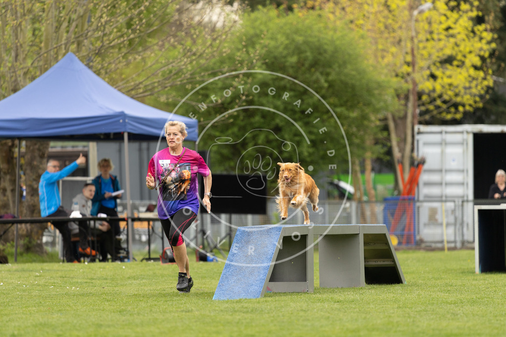 Pfotenfotografie_DV3A9078 | Hundefotografie, Tierfotograf, Pfotenfotografie, Fotoshooting Hund, Hunde Portrait, Hundesport, Hundeportraits, Heideshooting, Hunde, Sportfotograf, Hundefotograf, Turnierhundsport, THS,  - Realisiert mit Pictrs.com