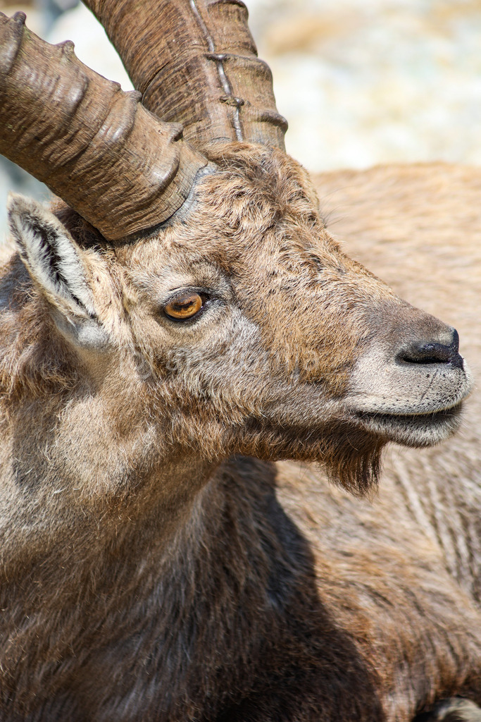 A.Trupina-41 | antonija-trupina - Realisiert mit Pictrs.com