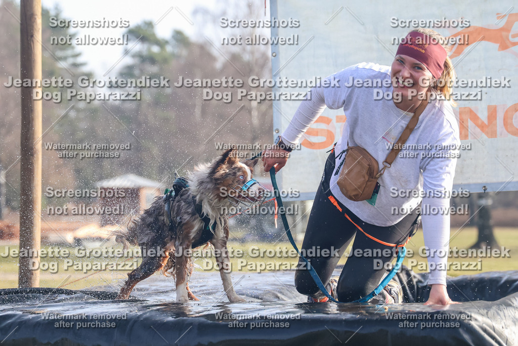 Dog Paparazzi - Strongdog North Mrz26-340 | Dog Paparazzi Jeanette Grottendiek Fotografie & Videografie - Realisiert mit Pictrs.com