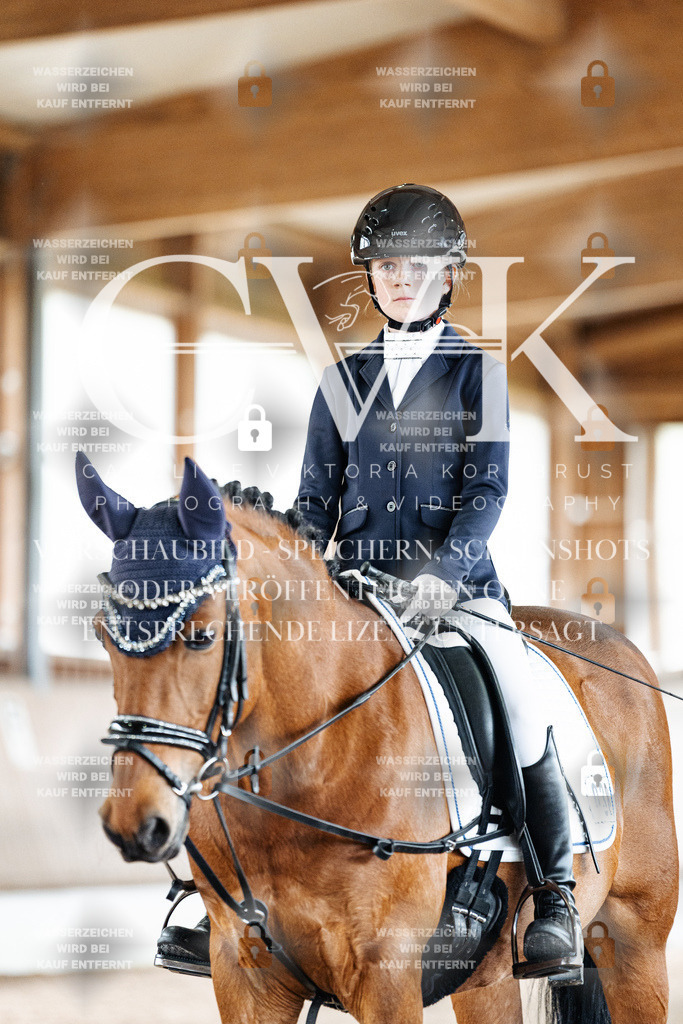CK901602 | Turnierfotografie Pferdefotografie Trier Rheinland-Pfalz Pferdesport Reitsport Tierfotografie Sportfotografie Pferdevideo Pferdevideografie Equestrianvideography equestrianphotography  - Realisiert mit Pictrs.com
