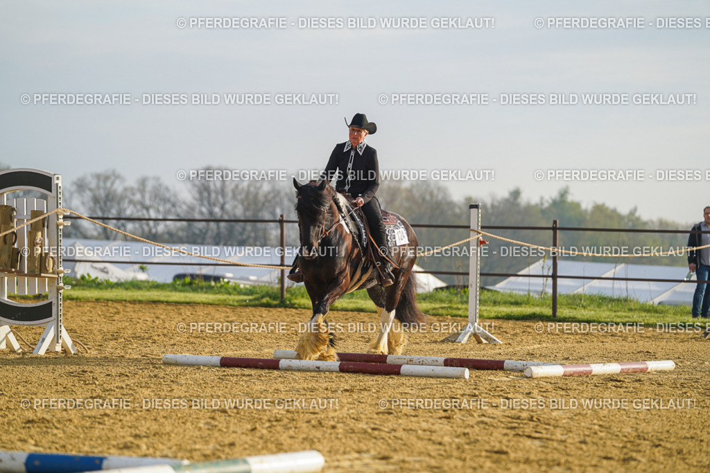 DSC09935 | Pferdegrafie