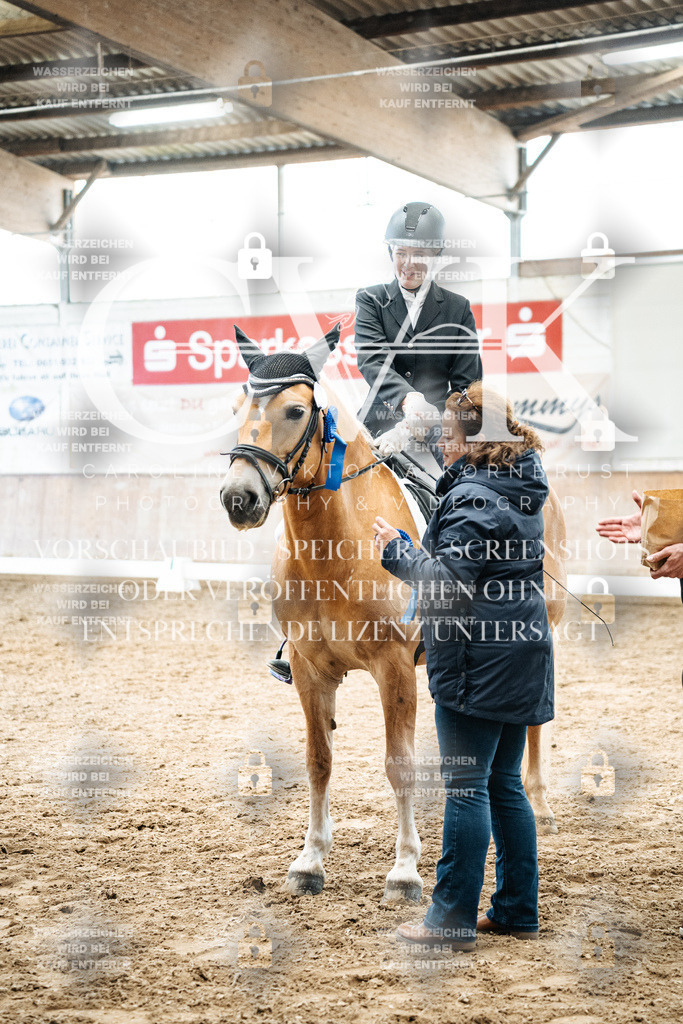 CK703081 | Turnierfotografie Pferdefotografie Trier Rheinland-Pfalz Pferdesport Reitsport Tierfotografie Sportfotografie Pferdevideo Pferdevideografie Equestrianvideography equestrianphotography  - Realisiert mit Pictrs.com