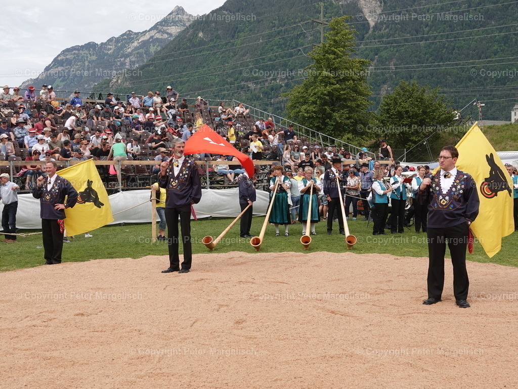 DSC07477 | Schwingen - Realisiert mit Pictrs.com