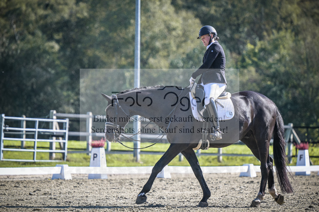 DOS_2054 | Entdecke hochwertige Reitturnierfotos von Foto Oger. Professionell, emotional und authentisch – jetzt Lieblingsmomente im Shop bestellen.Deutschlandweite Turnierfotografie. - Realisiert mit Pictrs.com