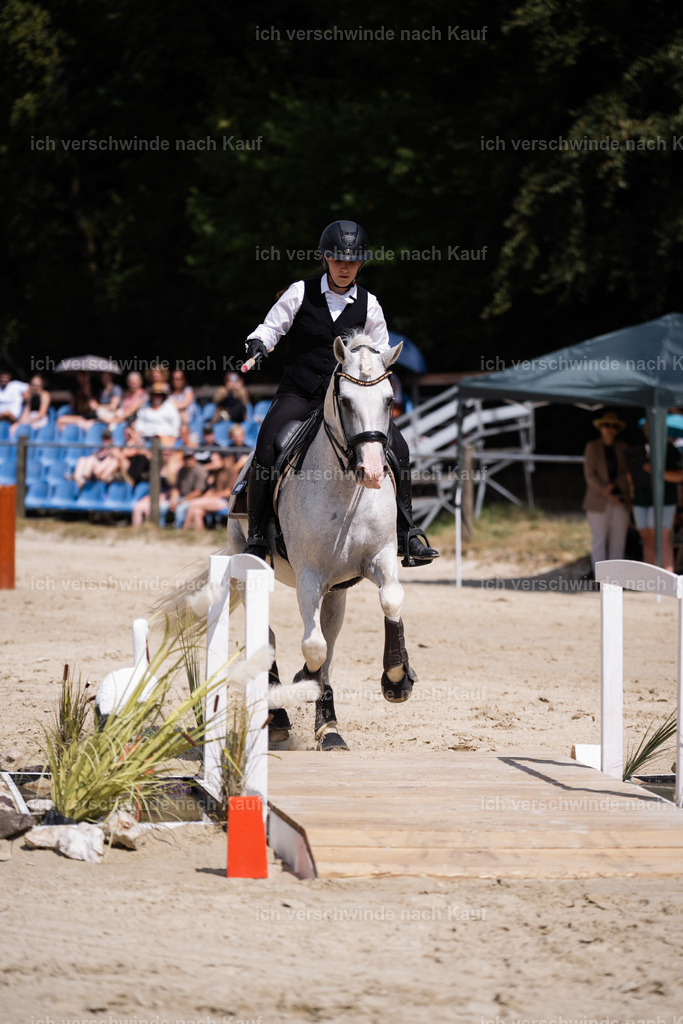 WM_SP_133_Stoibphotography_SO10293 | working equitationturnier fotograf videograf stoibphotography marixx film working equitation deutschland reitsport turnierfotografie eventfotografie equestrian events