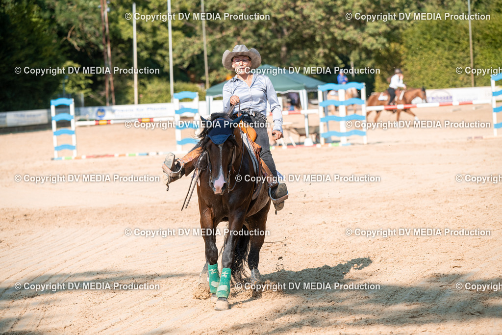 ZS2_8800 | dv-media-shop - Realisiert mit Pictrs.com