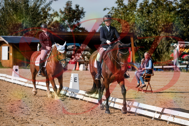 2026_10_03_Siefer-Hof_130422_Z63_67058905 | Professionelle Reitsport-, Turnier- und Eventfotografie von Robert Broda. Galerien mit ausgewählten und bearbeiteten Bildern direkt online ansehen und bestellen.