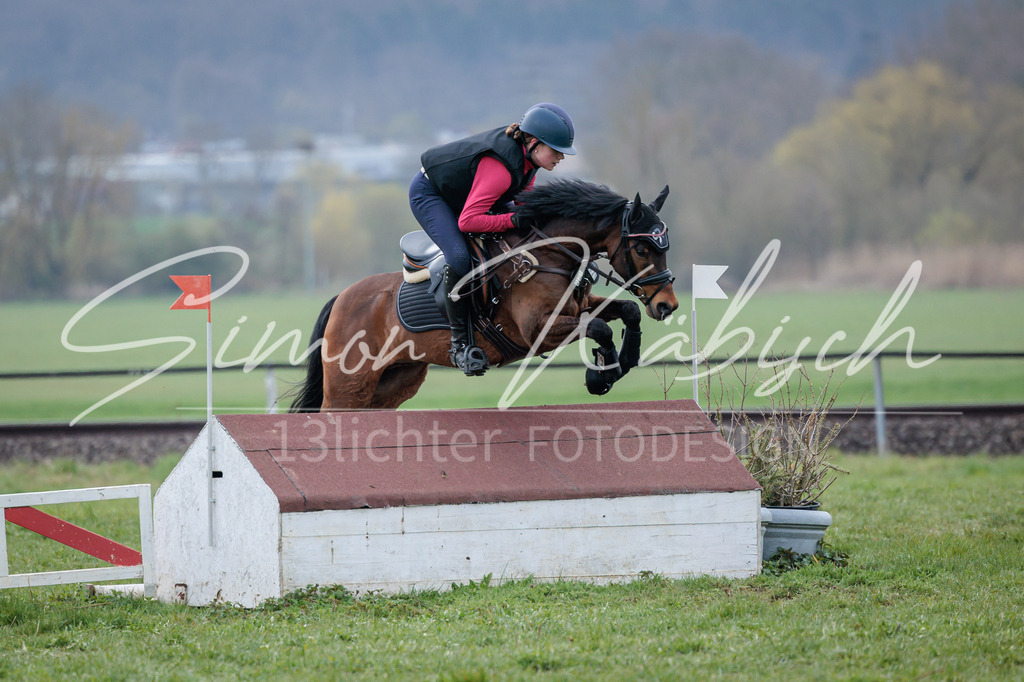 20260329-_3LI4624 | Tierfotografie Pferde, Hunde, Katzen, Haustiere.
Turnierfotografie Reitturniere, Reiten, Springreiten, Dressur in Hanau, dem Main-Kinzig-Kreis und dem Rhein-Main- Gebiet um Frankfurt