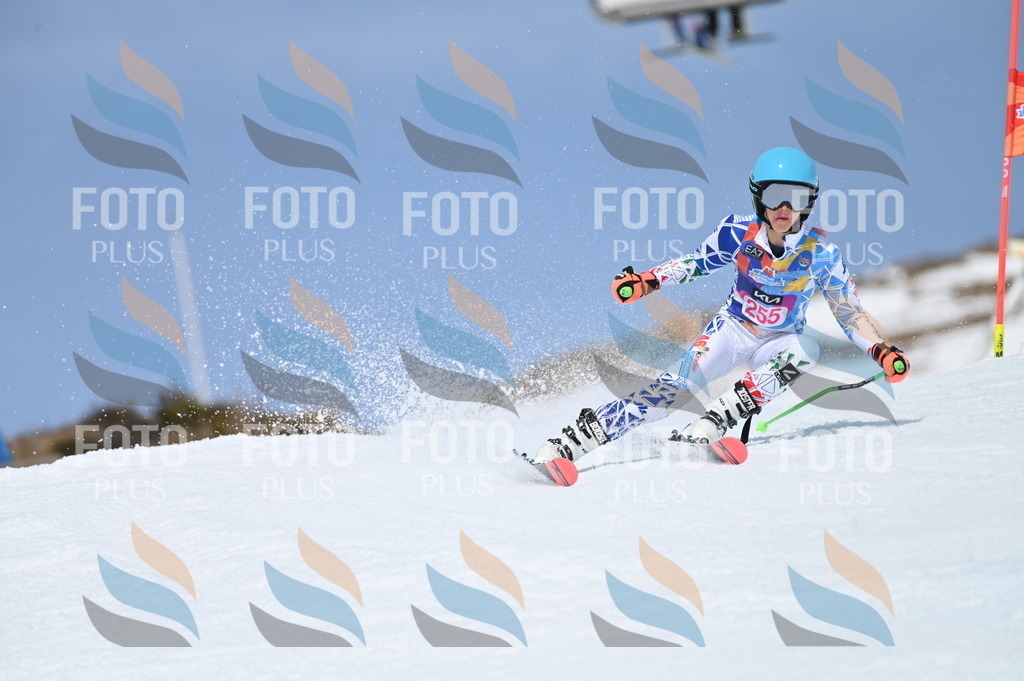 BGV_1972 | holidayphoto