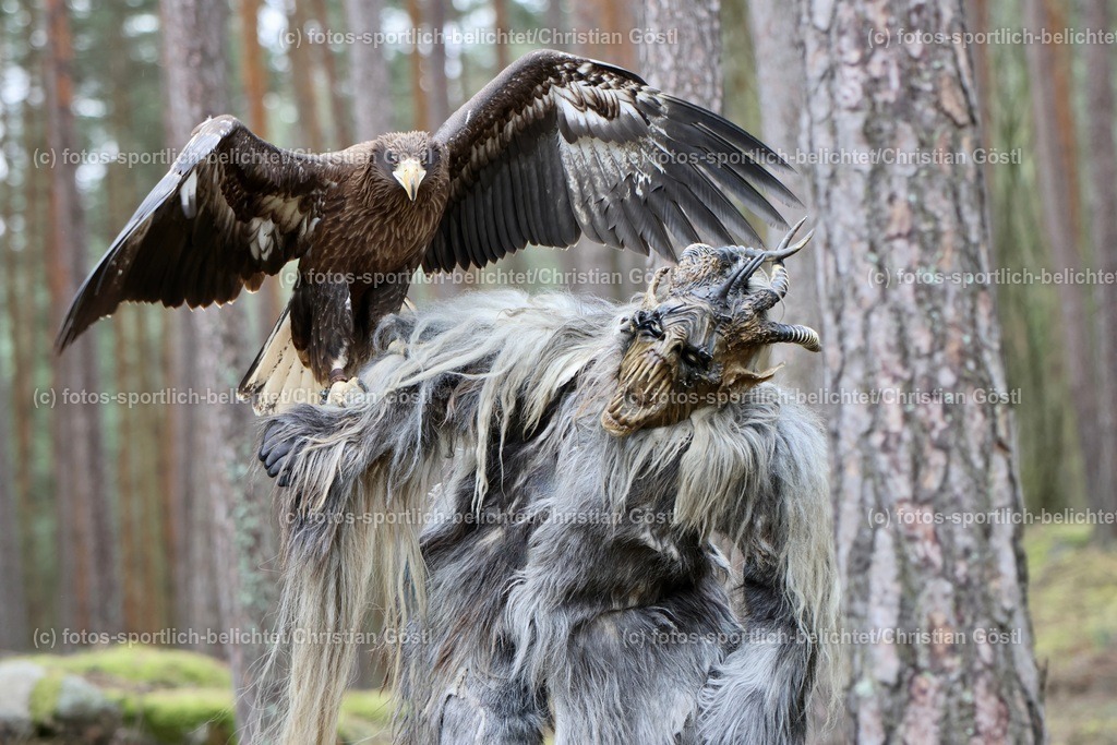 2X5A4365 | fotos-sportlich-belichtet - Realisiert mit Pictrs.com