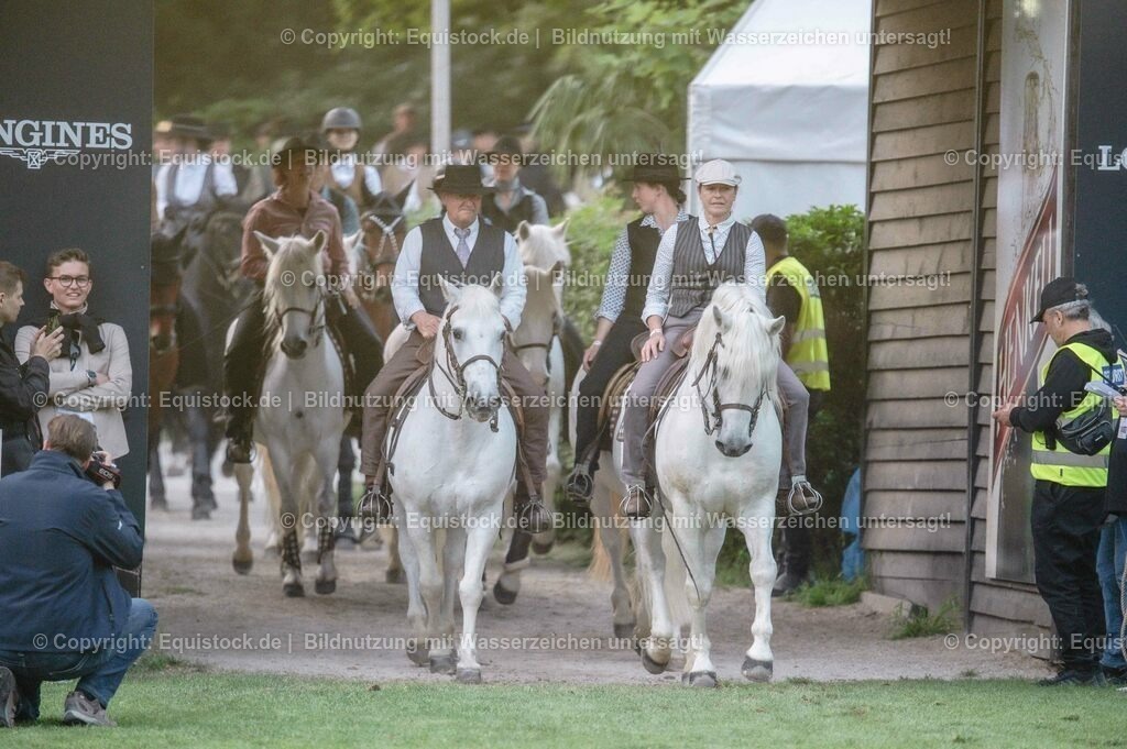 20230526_Pferdenacht_0668 | equistock