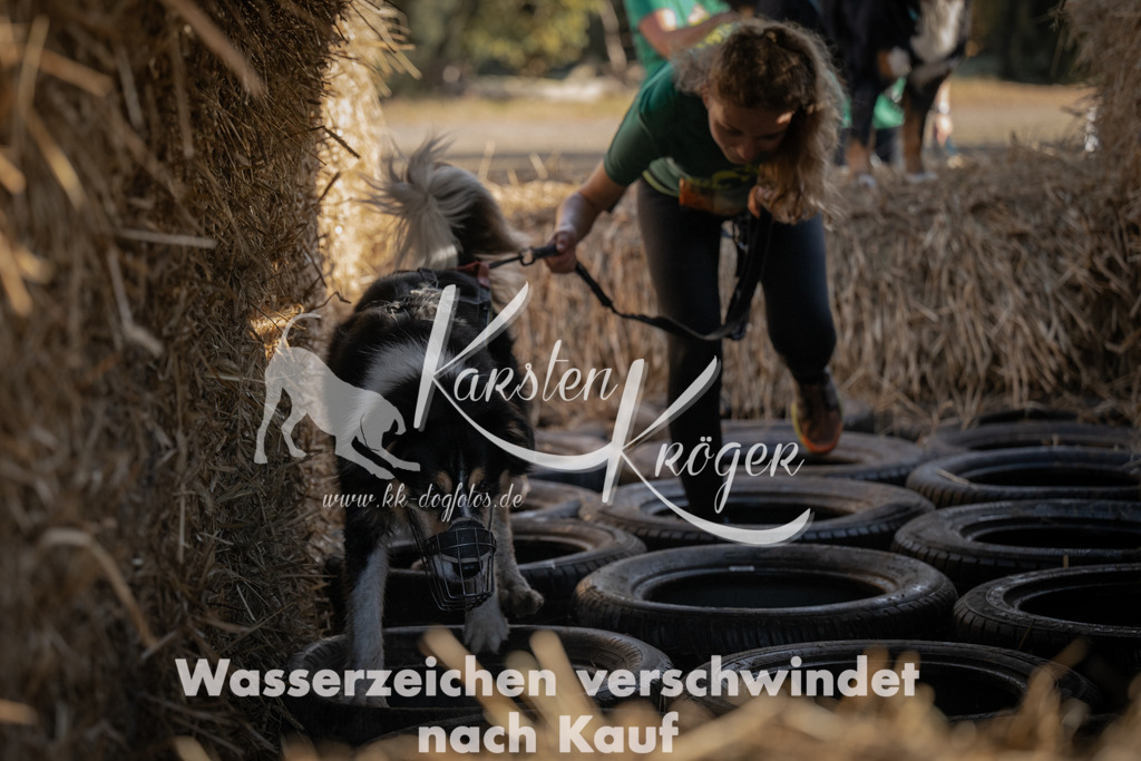1055_ZZ99561 | kk-dogfotos