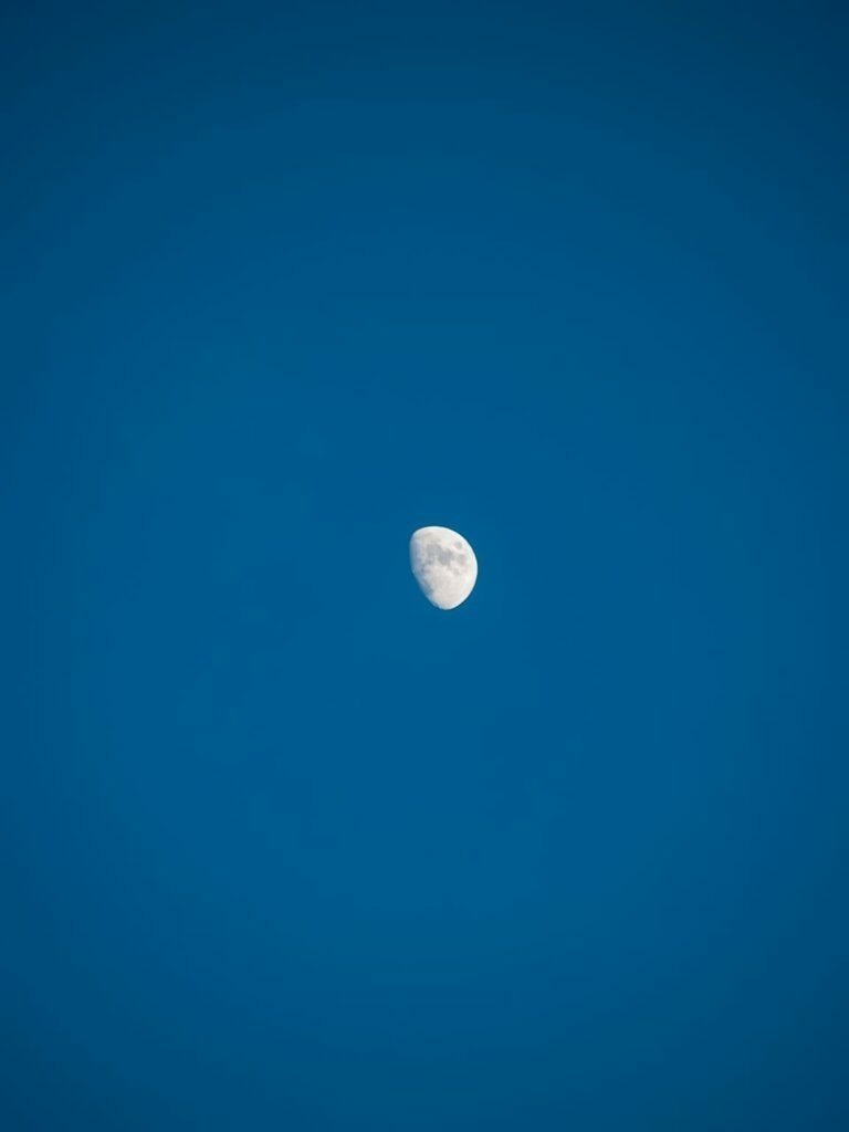 PSX_20230101_225014 | mtkfoto_ - Realisiert mit Pictrs.com