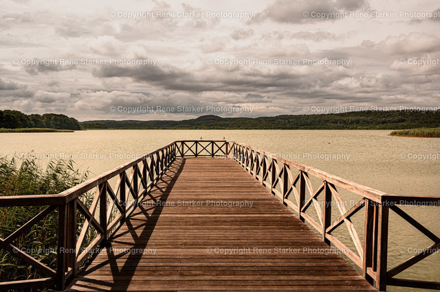 NZ6_1885 | Hochzeiten, Familien, Paare, Portraits, Kinder, Shooting, Bad-Neuenahr, Ahrweiler, Bonn, Meckenheim, Fotograf, Grafschaft - Realisiert mit Pictrs.com