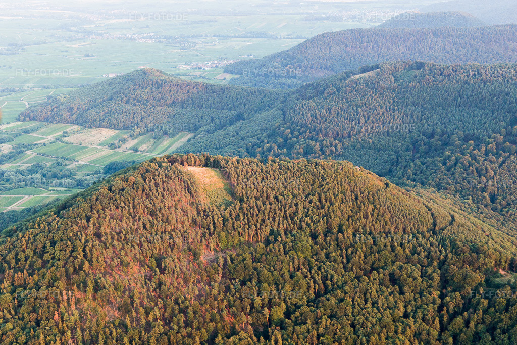 Luftbild: N-Startplatz am Hohenberg in Birkweiler im Bundesland Rheinland-Pfalz in Deutschland. Foto: IMG_109283.jpg vom 27.07.2018 durch Werner Riehm/FLY-FOTO.de