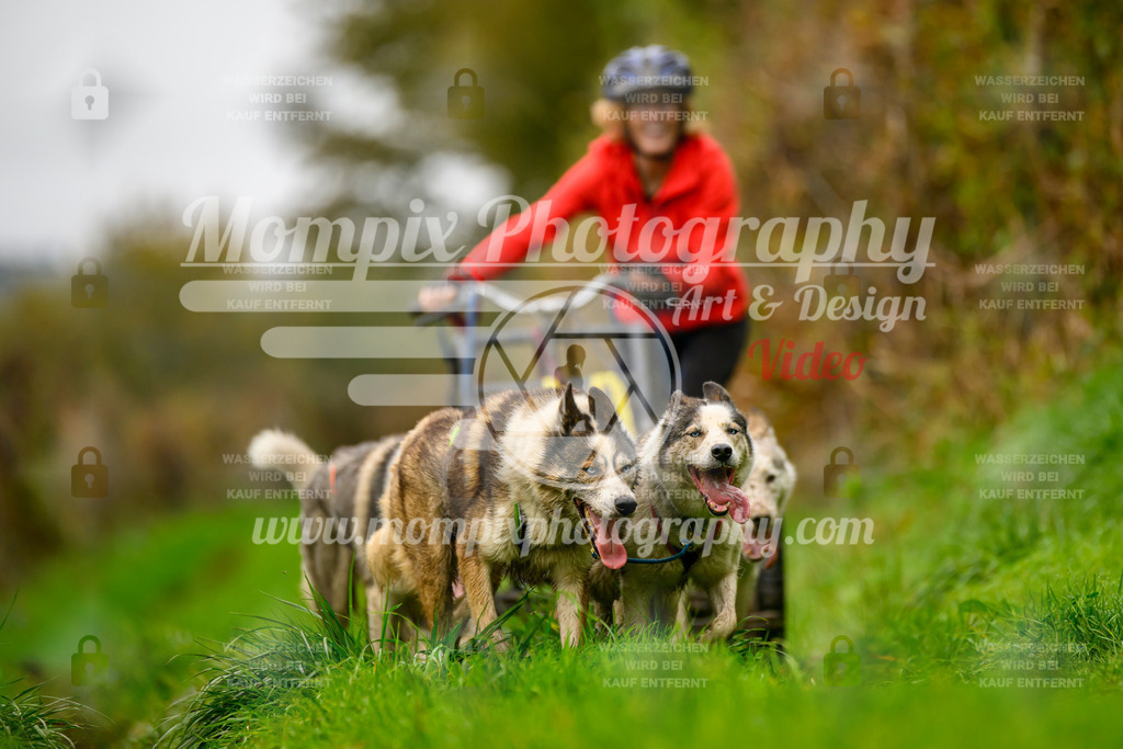 MompixPhotography_20TSB_E8_Kart-27 | PayLife